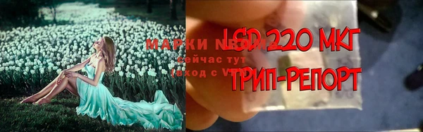 хмурый Богородицк