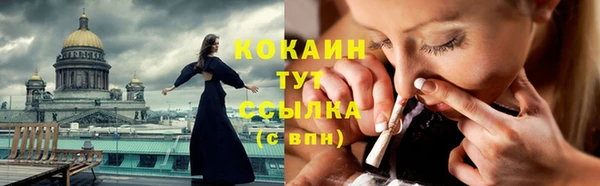 сатива Богданович