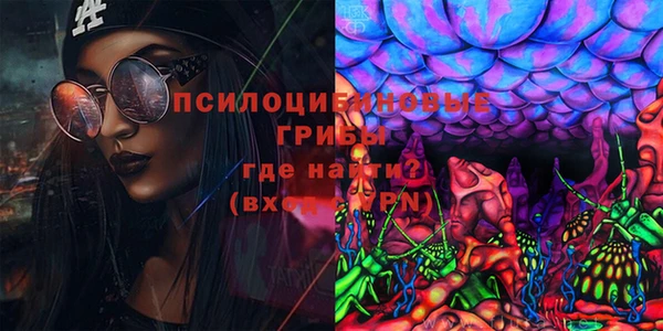 таблы Богородск