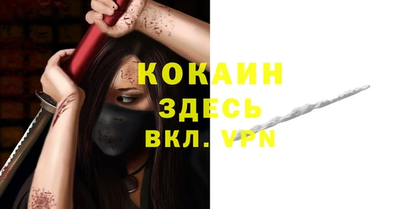 сатива Богданович