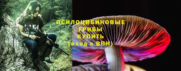 хмурый Богородицк