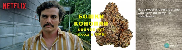 хмурый Богородицк