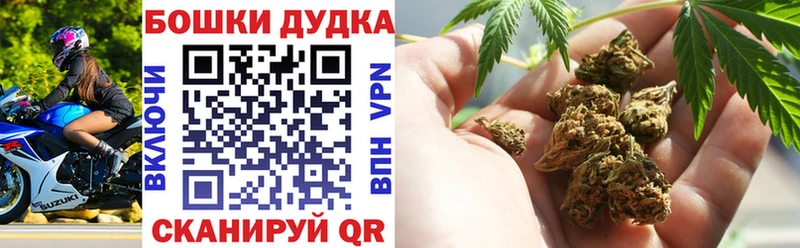 Бошки Шишки сатива  Купить  Луга 